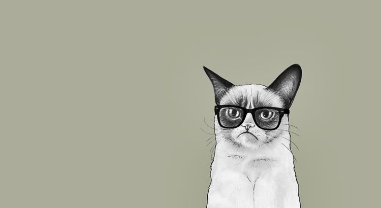 Заговоры для котов