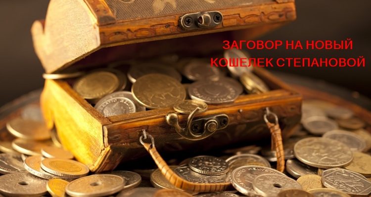 Заговор на новый кошелек Натальи Степановой