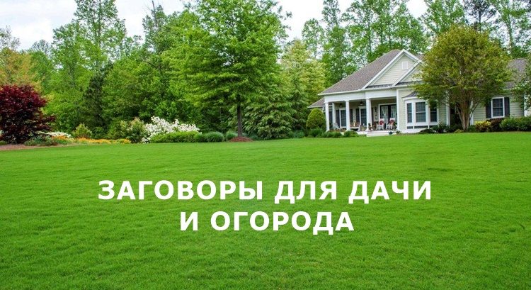 Заговоры для дачи и огорода