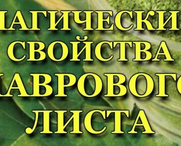 Денежный обряд с лавровым листом